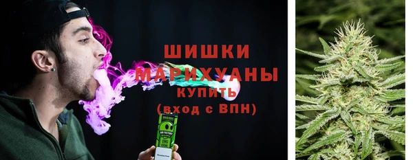 дмт Козловка