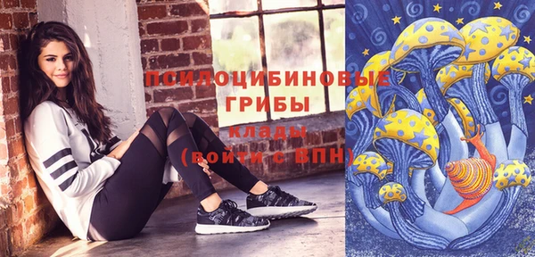 дмт Козловка