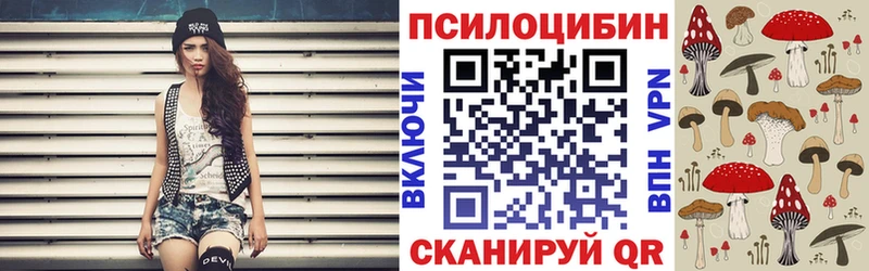 Псилоцибиновые грибы Cubensis  Купить закладки  Бор 